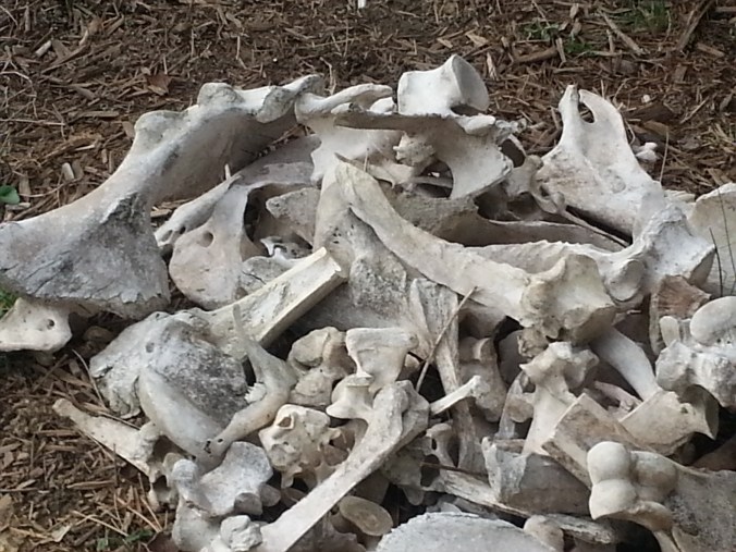 23579791702_b17e926b4b_o