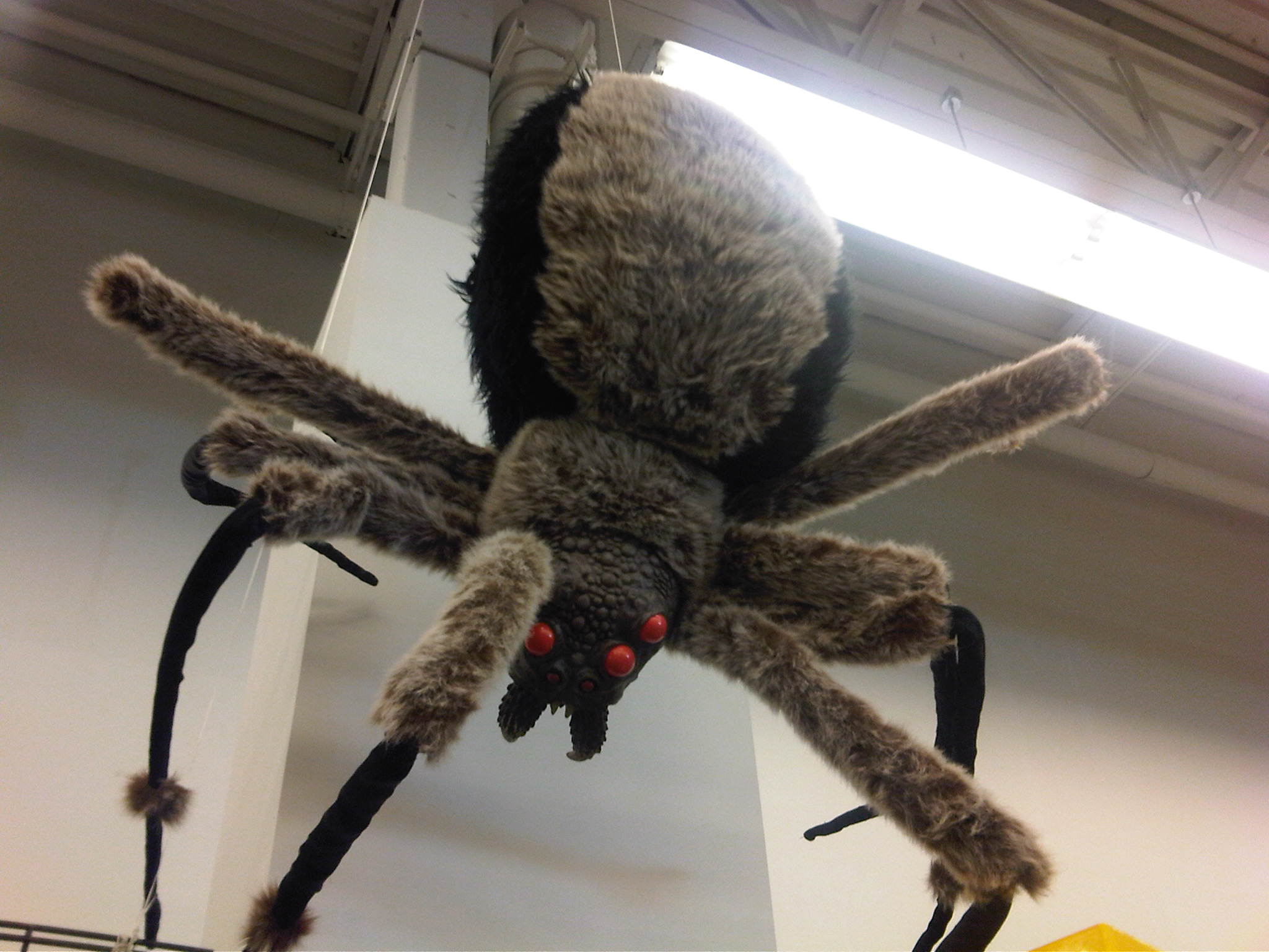 img00037-20100920-1504