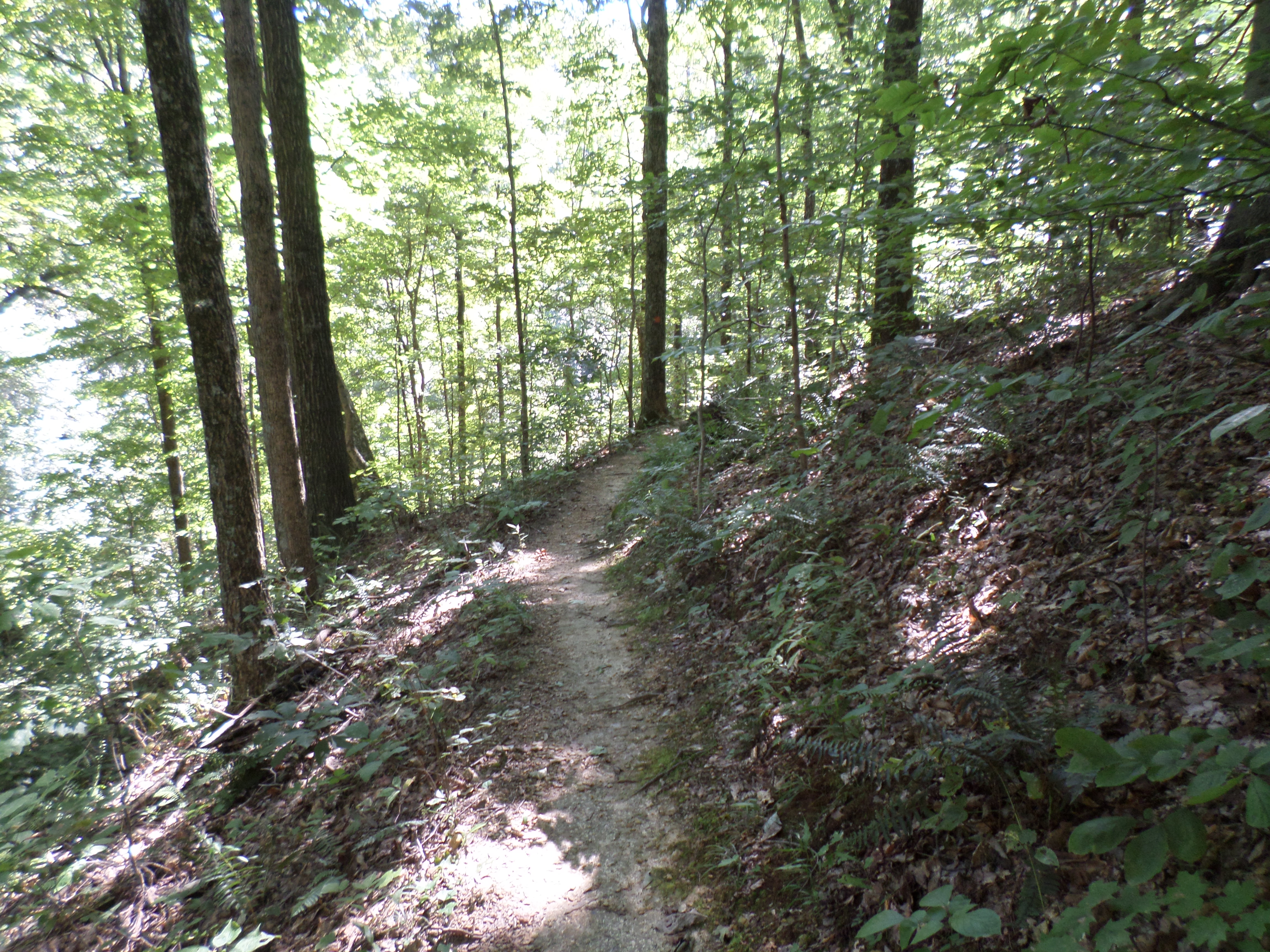 SAMSUNG CAMERA PICTURES