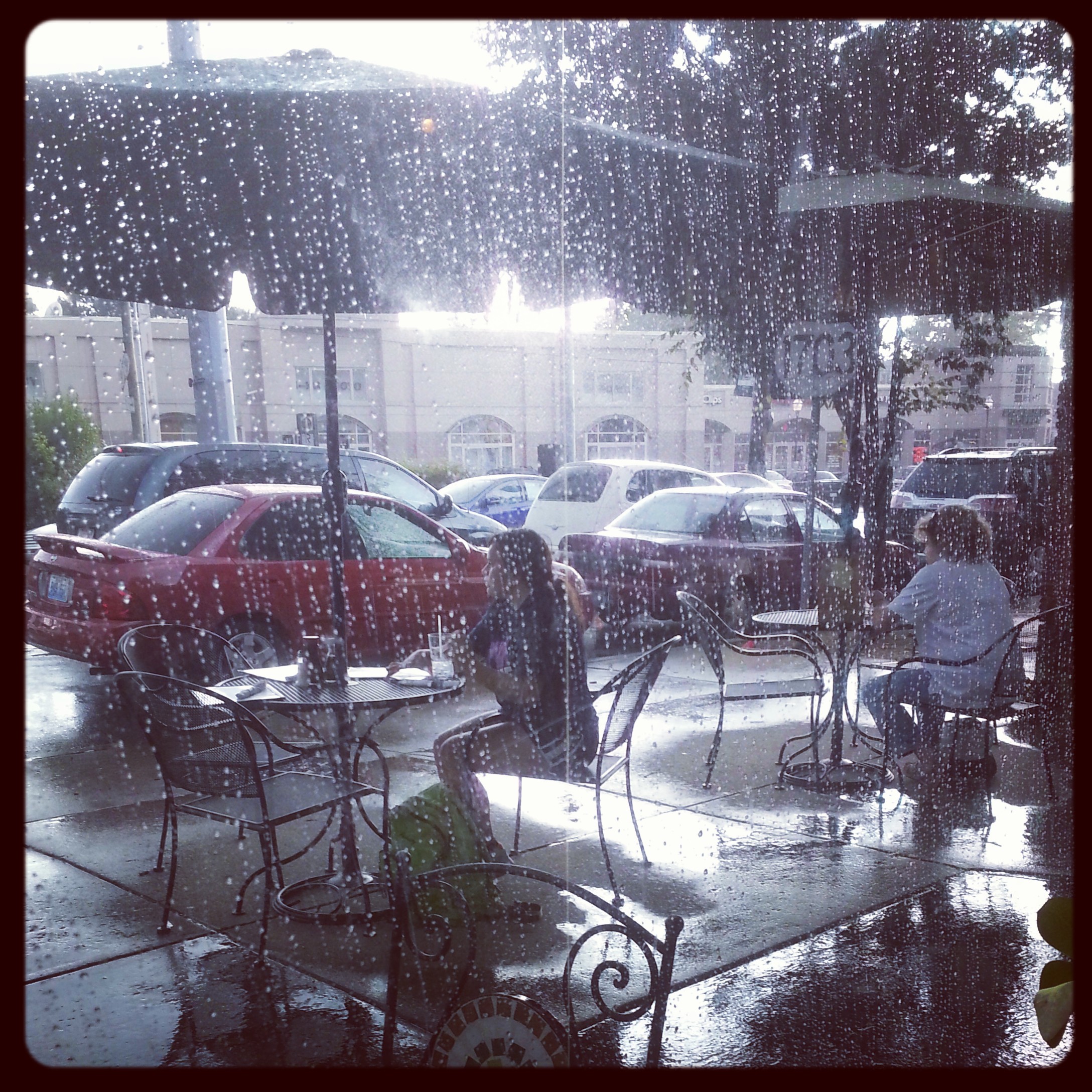 20192007324_e2c95b10f2_o