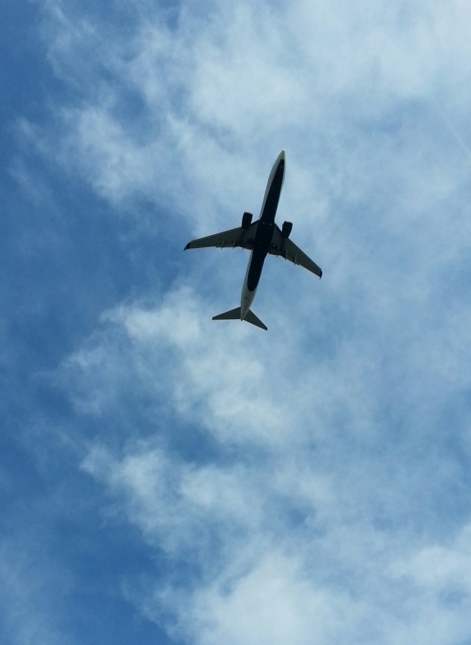 20825307321_1c6e788065_o