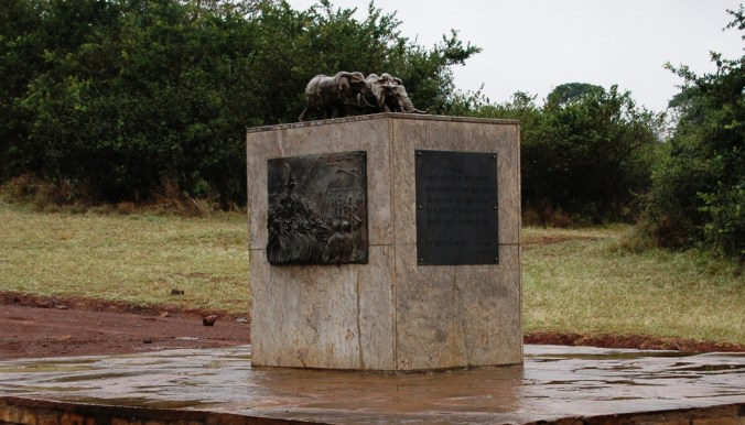 38521671041_fbd4aafc9b_o(1)