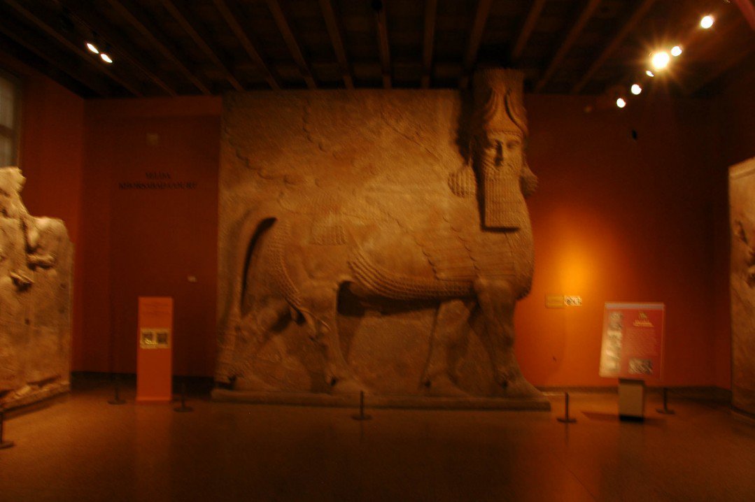 chicago nikon 2016 (15 of 109)2554053235003874217..jpg