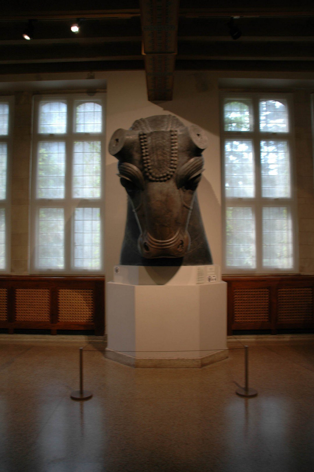 chicago nikon 2016 (19 of 109)3396486877660146139..jpg